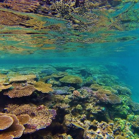 Mai Dive' Astrolabe Reef Resort Naqara Exterior foto