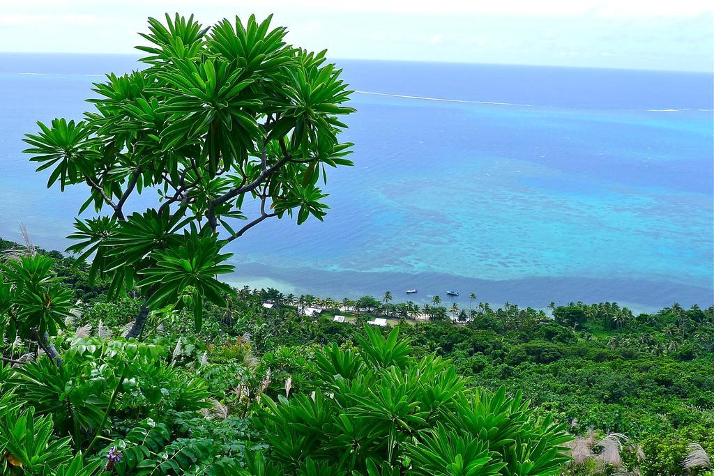 Mai Dive' Astrolabe Reef Resort Naqara Quarto foto