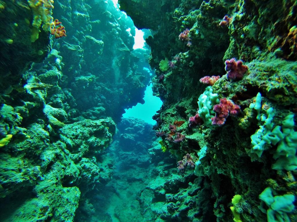 Mai Dive' Astrolabe Reef Resort Naqara Exterior foto