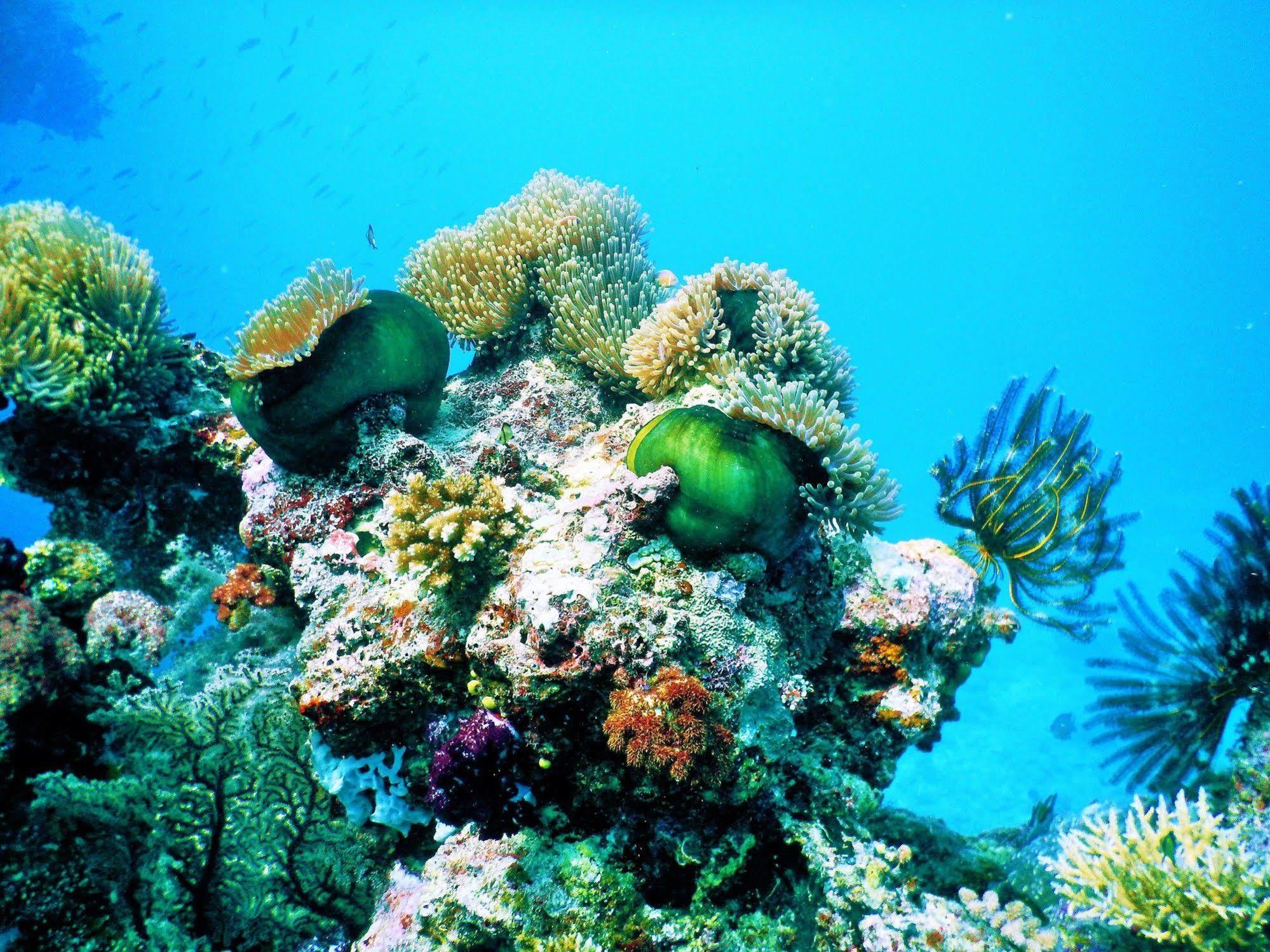 Mai Dive' Astrolabe Reef Resort Naqara Exterior foto